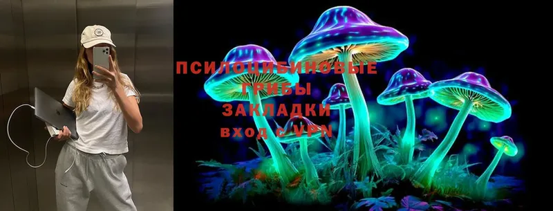 Псилоцибиновые грибы Cubensis  где купить наркотик  Белореченск 